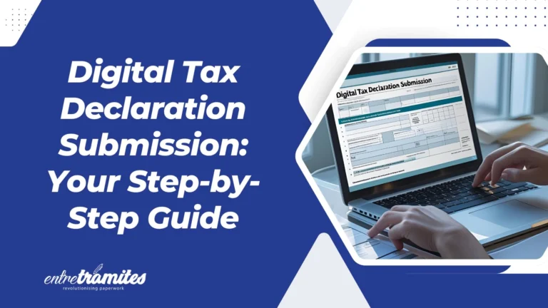 Digital Tax Declaration Submission