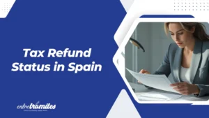 tax refund status in spain