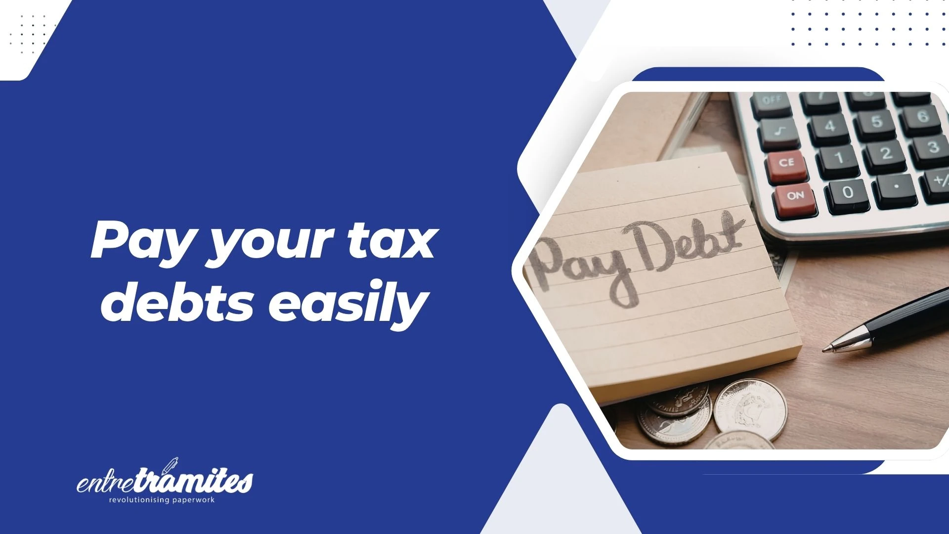 Pay Debts With Hacienda in Spain