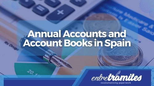 the annual accounts of a company