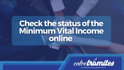 minimum vital income status