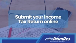 income tax return