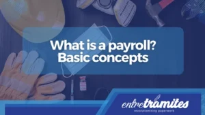 What is a Payroll