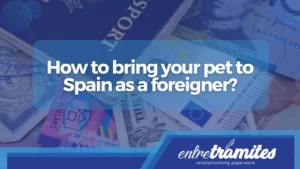 How to bring your pet to Spain as a foreigner