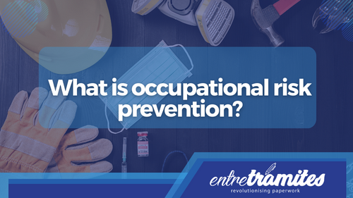 What is occupational risk prevention?