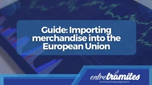 Guide Importing merchandise into the European Union