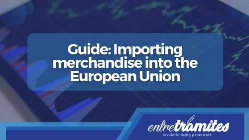 Guide Importing merchandise into the European Union