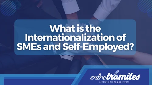 Internationalization of SMEs and Self-Employed