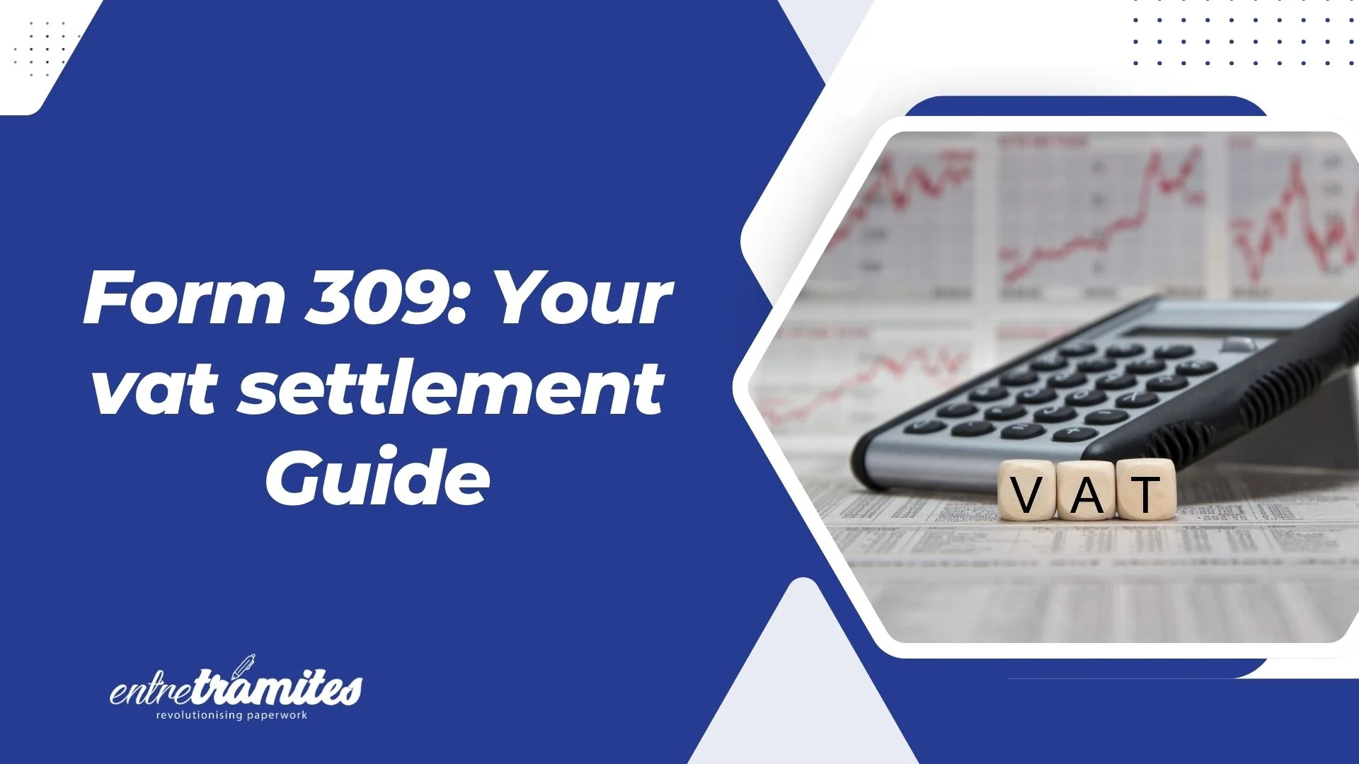 vat settlement