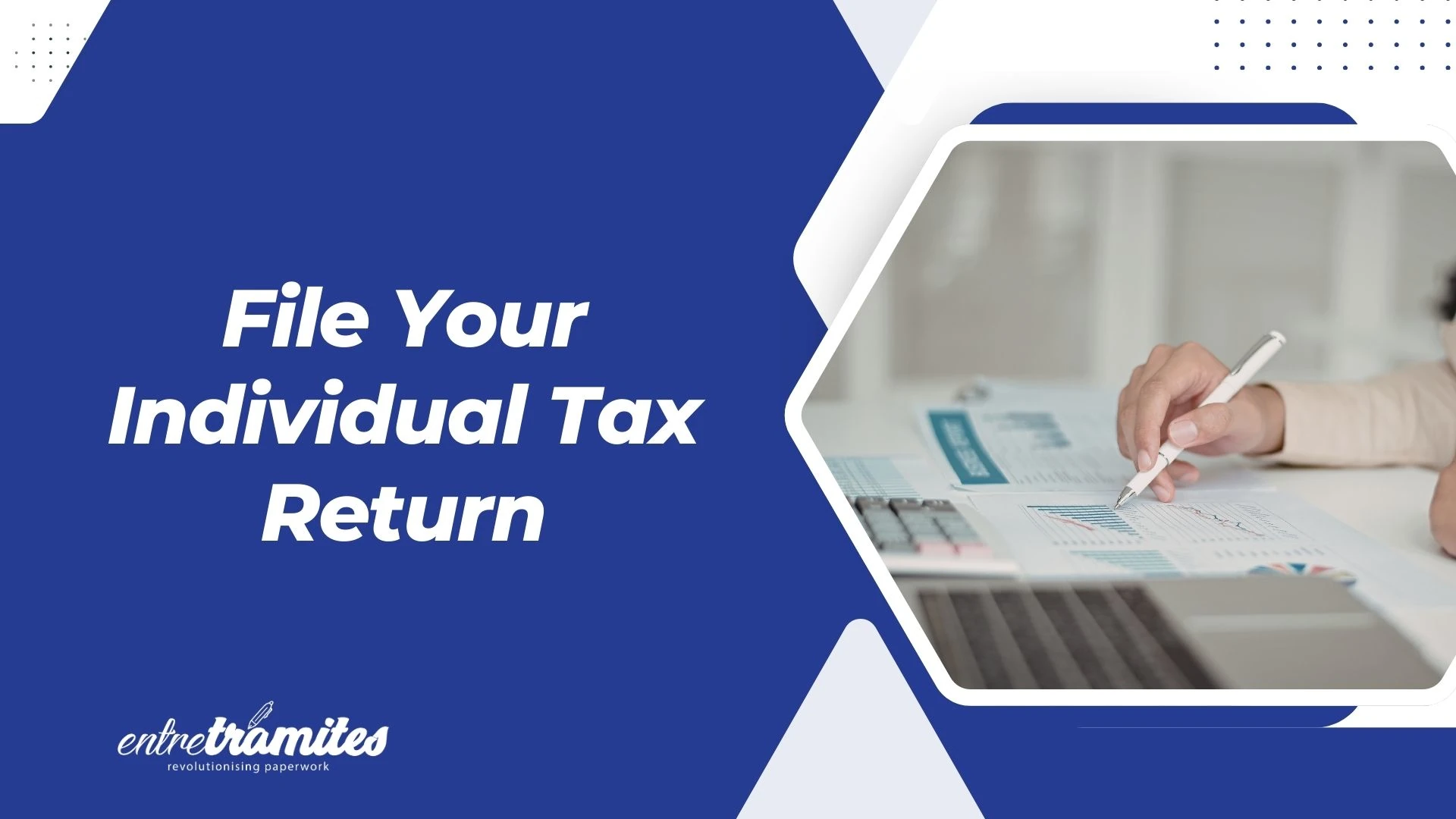 individual tax return