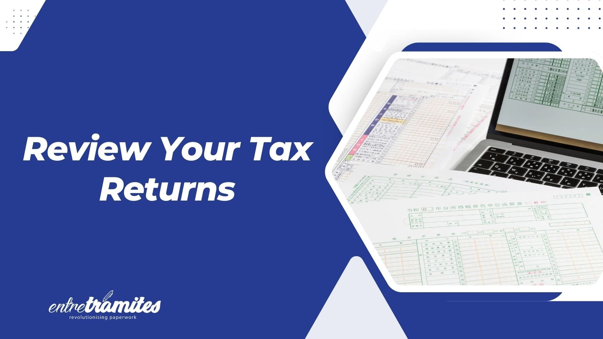 Review Draft Income Tax Returns