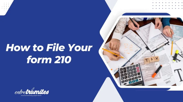 form 210