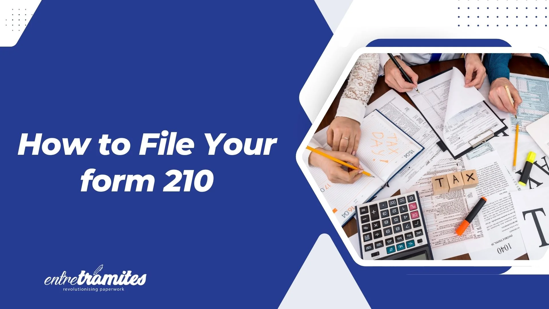 form 210
