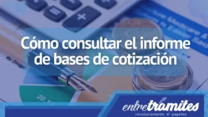 Cómo consultar el informe de bases de cotización