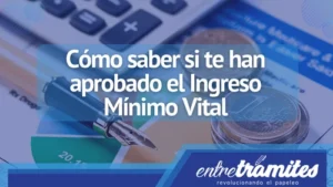 Cómo saber si te han aprobado el Ingreso Mínimo Vital