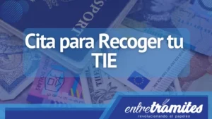 Cita para Recogida de TIE