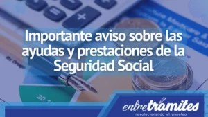 ayudas y prestaciones de la Seguridad Social