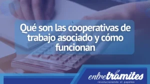 qué son las cooperativas de trabajo asociado y cómo funcionan