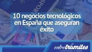 negocios informáticos en españa