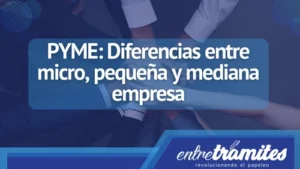 Conoce aquí las diferencias entre PYME's