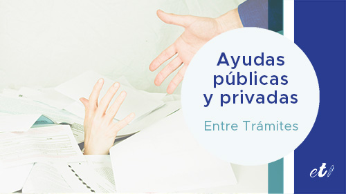 ayudas publicas y privadas