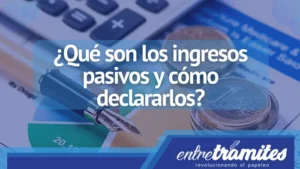 ingresos y conoce cómo declararlos si eres autónomo.