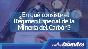 Régimen Especial de la Minería del Carbón.