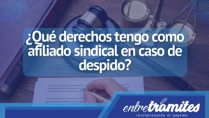 Derechos de un afiliado sindical en caso de despido