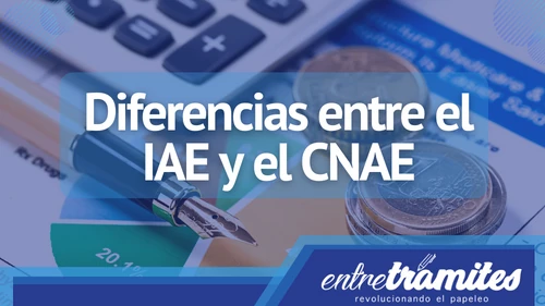 Diferencias entre el IAE y el CNAE