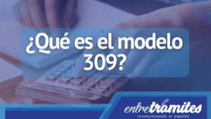 Qué es el modelo 309