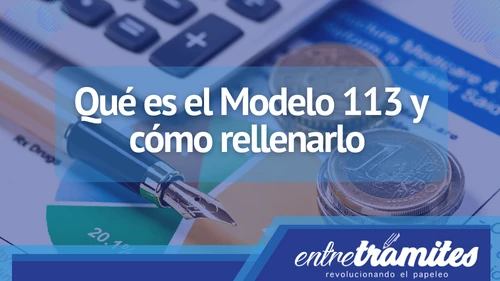 En este artículo, veremos los conceptos básicos del Modelo 113 y cómo rellenarlo en España.