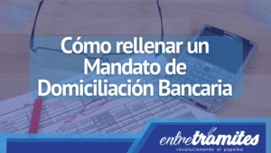 ¿Busca asesoramiento y ayuda para solicitar el arraigo social en España en 2023? Este post le ayudará a entender los requisitos para el proceso de solicitud de arraigo social y le dará consejos para una solicitud exitosa.