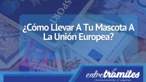 Tu mascota también te puede acompañar en tus viajes a la Unión Europea, aquí sabrás cómo hacerlo.