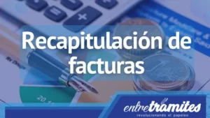 En este artículo, profundizaremos en qué es una recapitulación de facturas y cómo usarlas.