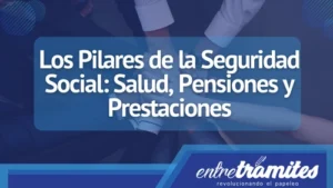 En este apartado conocerás los pilares fundamentales de la Seguridad Social española.