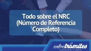 Conoce el significado de NIF y su utilidad enfocado a la fiscalidad en el territorio español.