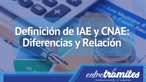 En este post sabrás la diferencia que existe entre IAE y CNAE en España.