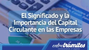 Aquí sabrás en detalle qué es el capital circulante, sus características y las cuentas que lo componen.