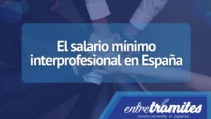 Aquí sabrás todo lo relacionado con el salario mínimo interprofesional en España para este año 2023