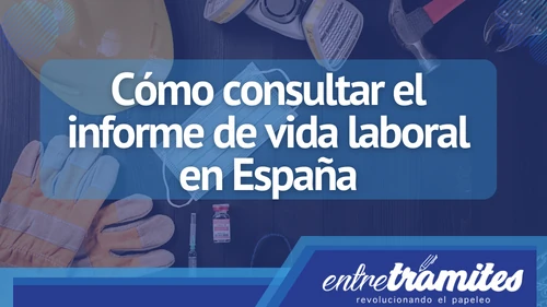 En este apartado sabrás cómo consultar el informe de vida labora en España. además podrás agendar una consulta con nuestros especialistas.