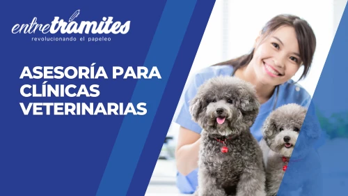 Somos especialistas en asesoría para clínicas veterinarias en España. contamos con especialistas en contabilidad y facilidad para tu empresa.