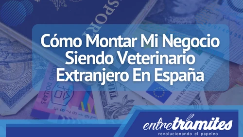 Si eres veterinario extranjero en España y deseas abrir tu negocio, aquí te indicamos un paso a paso del proceso que debes llevar.