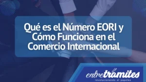 En este apartado conocerás todo lo relacionado al Numero EORI incluyendo su funcionalidad.