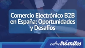 En este artículo, exploraremos el concepto de comercio electrónico B2B en España y los desafío que trae consigo este modelo de negocios.