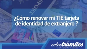 En este apartado sabrás cómo renovar mi TIE tarjeta de identidad de extranjero en territorio español.