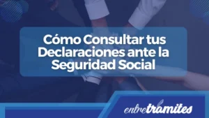 Informe de Actividades: Cómo Consultar tus Declaraciones ante la Seguridad Social