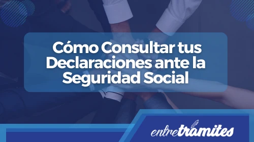 Informe de Actividades: Cómo Consultar tus Declaraciones ante la Seguridad Social