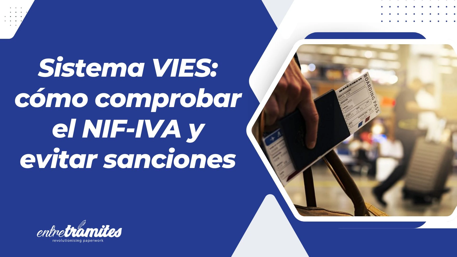 sistema vies
